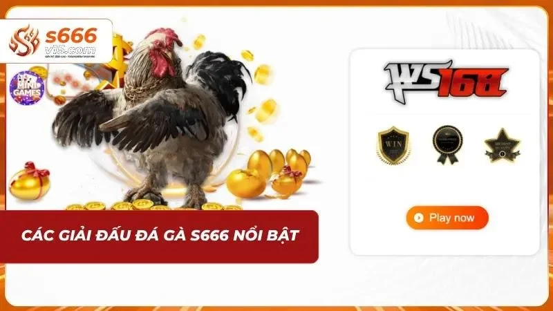Tổng hợp các giải đấu đá gà được quan tâm nhất