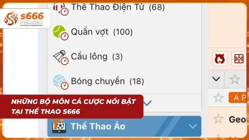 Tổng hợp nhiều môn thể thao được người chơi quan tâm