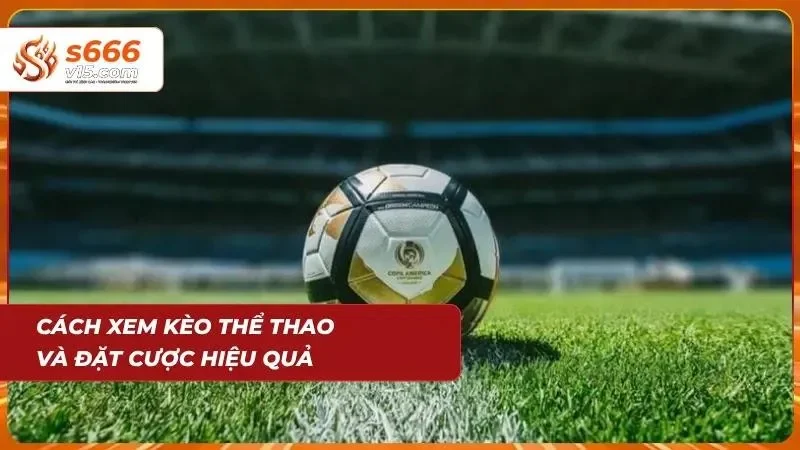 Người chơi phân tích bảng kèo trước khi đưa quyết định